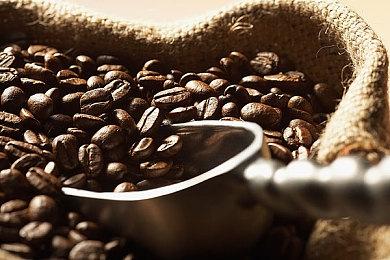 开放世界MMO游戏新作《Pax Dei》正式公布